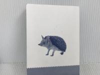 ※カバー無し。動物のクイズ図鑑 Gakken 今泉忠明