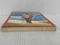 ※カバー無し。精神世界マップ (別冊宝島 16) 宝島社