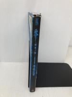 零~刺青の聲~公式完全攻略本導魂之書 KADOKAWA(エンターブレイン) ファミ通書籍編集部