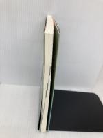 神田橋條治の精神科診察室 IAP出版 神田橋 條治