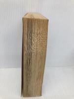 Interesting Times (Discworld, 18) HarperTorch Pratchett, Terry