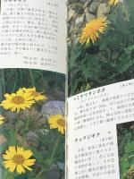 改訂　立山の花  土肥行雄