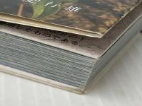 改訂　立山の花  土肥行雄