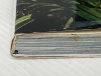 改訂　立山の花  土肥行雄