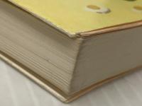 スクランブル (集英社文庫) 集英社 若竹 七海