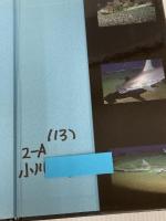 ※イタミ有。サメの世界 《第2版》