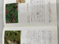 沖縄の身近な昆虫図鑑: 写真で見る虫たちの世界 沖縄出版 上杉 兼司