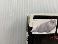 ※イタミ有。世界の猫図鑑人気猫種ベスト48 新星出版社 佐藤弥生