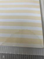 【イタミ有り】完全マスターしたい人のためのイーサネット&TCP/IP入門 インプレス 榊 正憲