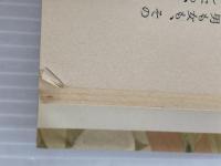 残りの雪 上巻 新潮社 立原 正秋