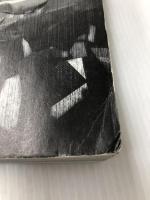 機動戦士ガンダムギレンの野望ジオンの系譜を一生楽しむ本 (ゲーム必勝法スペシャル) 勁文社  勁文社