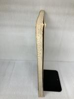 Albinus on Anatomy (Dover Anatomy for Artists) Dover Publications Hale, Robert Beverly