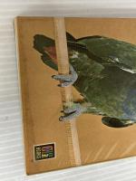 飼い鳥: 観賞と飼育 (カラーブックス 67) 保育社 宇田川 竜男