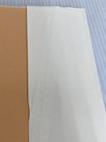 かたつむりの歩き方 朝日新聞出版 姜 信子