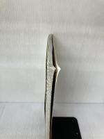 全国秋の撮影地ガイド 紅葉の達人 (タツミムック) 辰巳出版