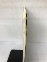 美術フォーラム21 第16号 特集:日本美術の叙情性――情趣の系譜 美術フォーラム21刊行会/醍醐書房 美術フォーラム21刊行会