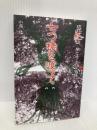 琉球怪談: 闇と癒しの百物語 (七つ橋を渡って) ボーダーインク 小原 猛