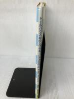 ドールハウス和のしつらえ 文化出版局 溝端 高子