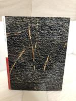 日本その心とかたち 6 平凡社 加藤 周一