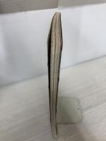 世界の戦艦 大鑑巨砲編 (BIGMANスペシャル 21世紀に生きる) 世界文化社