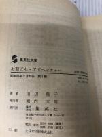 お聖どん・アドベンチャー (集英社文庫 75-B) 集英社 田辺 聖子