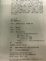 ふらんす: 「知」の日常をあるく 平凡社 樋口 陽一