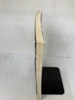 時空の物理学: 相対性理論への招待 現代数学社 E.テイラー