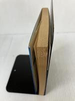 電波に強くなる: やさしい電波技術入門 (ブルーバックス 436) 講談社 徳丸 仁