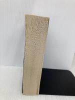 Children of Ruin (The Children of Time Novels) Pan Books Tchaikovsky, Adrian