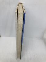 チャンパ遺跡―海に向かって立つ 連合出版 チャン キィ フォン