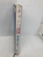チャンパ遺跡―海に向かって立つ 連合出版 チャン キィ フォン