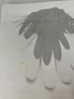 Accessories (Chic Simple) Knopf Gross, Kim Johnson