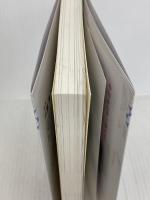 驚くほど売れる即決プレゼン術 ビーパブリッシング 川瀬翔