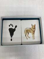 Match a Track: Match 25 Animals to Their Paw Prints (Magma for Laurence King) Laurence King Publishing George, Marcel