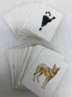 Match a Track: Match 25 Animals to Their Paw Prints (Magma for Laurence King) Laurence King Publishing George, Marcel