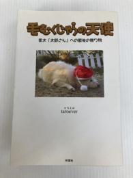 毛むくじゃらの天使―愛犬「太郎さん」への最後の贈り物 彩図社 taroever