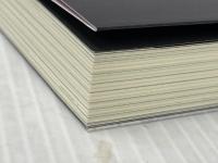 翠星のガルガンティア 少年と巨人