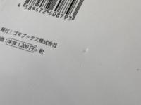 お金はいつも正しい ゴマブックス株式会社 堀江 貴文