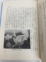 孔雀文様の旅―正倉院からローマまで (1970年)