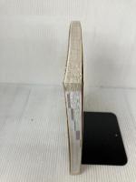 タイ鉄道散歩 (列車に乗ってタイ全土を自由に旅しよう) イカロス出版 藤井 伸二