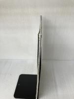 53年ぶり日本一!おめでとう中日ドラゴンズ: 日本シリ-ズ2007速報 (日刊スポ-ツグラフ) 日刊スポーツPRESS