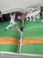 53年ぶり日本一!おめでとう中日ドラゴンズ: 日本シリ-ズ2007速報 (日刊スポ-ツグラフ) 日刊スポーツPRESS