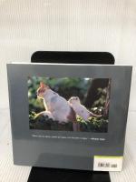 Curious Cats Chronicle Books Iwago, Mitsuaki