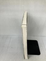 業務システム開発モダナイゼーションガイド 非効率な日本のSIを変革する実践的ベストプラクティス