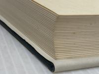 日本漢詩 上 新釈漢文大系 (45) 明治書院 猪口 篤志