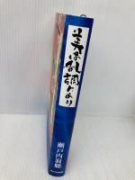美は乱調にあり 角川学芸出版 瀬戸内 寂聴