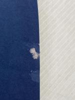 オートバイ (白水社世界の文学)