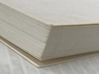 うちの猫’ず日記 J-Comic Terrace がぁさん