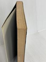 夢魔のふる夜 (新鋭書下ろしSFノヴェルズ) 早川書房 水見稜