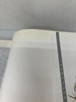 グロ-ランサ-4リタ-ン公式ビジュアルファンブック (JIVE FAN BOOK SERIES) ジャイブ